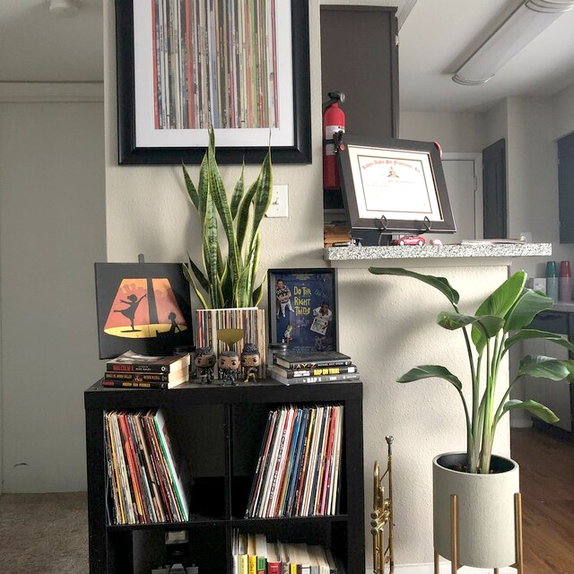 HIP HOP VINYL RECORDS COLLECTION POSTER - Mixerfriendly